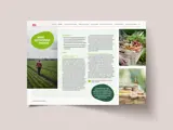 Spread from the ICA Gruppen Annual Report 2023 – produced by Solberg